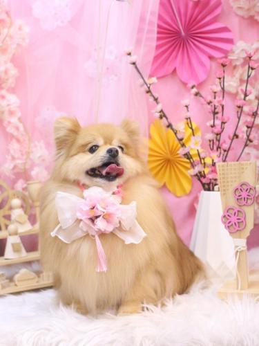 20250316梛都ちゃん